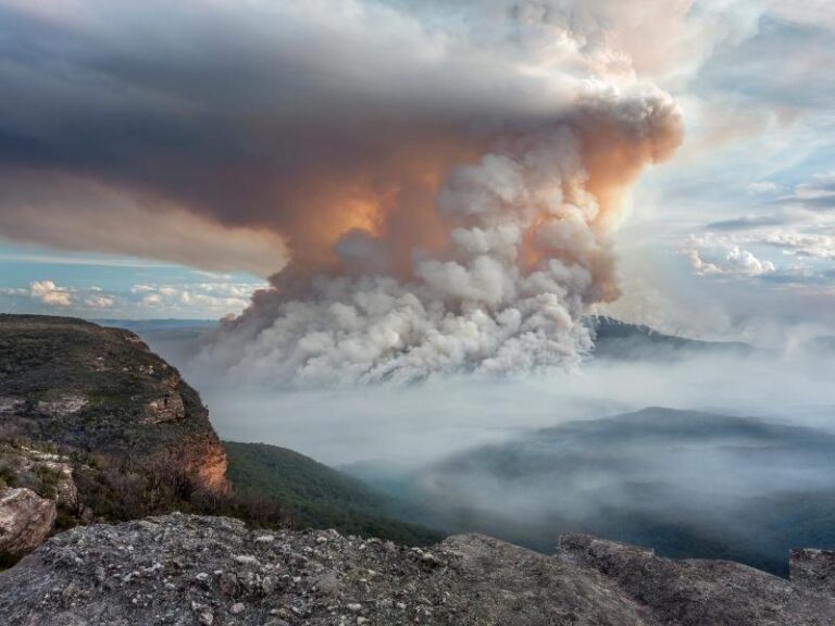 NSW Rural Fire Service My Fire Plan