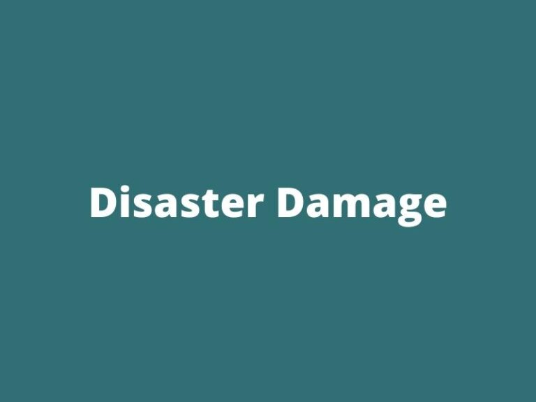 Disaster Damage