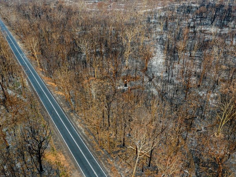 road through land ravaged by bush fire