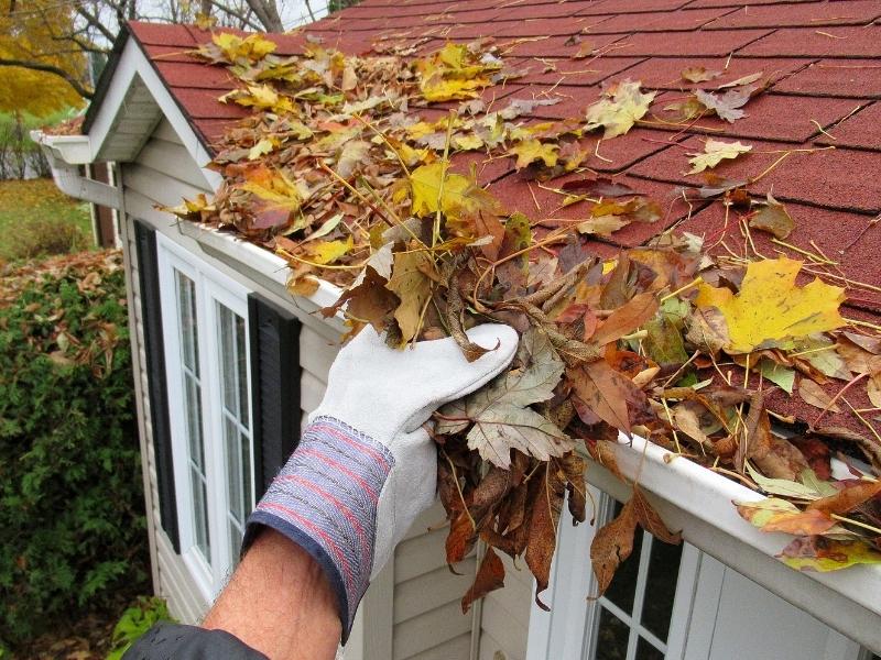 person clearing leaves out of gutter