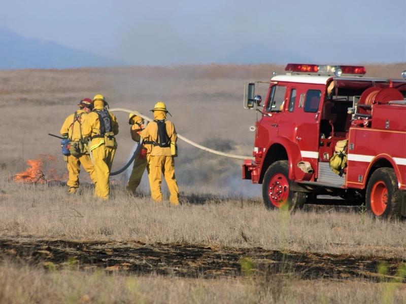 Fire fighters extinguishing land fire