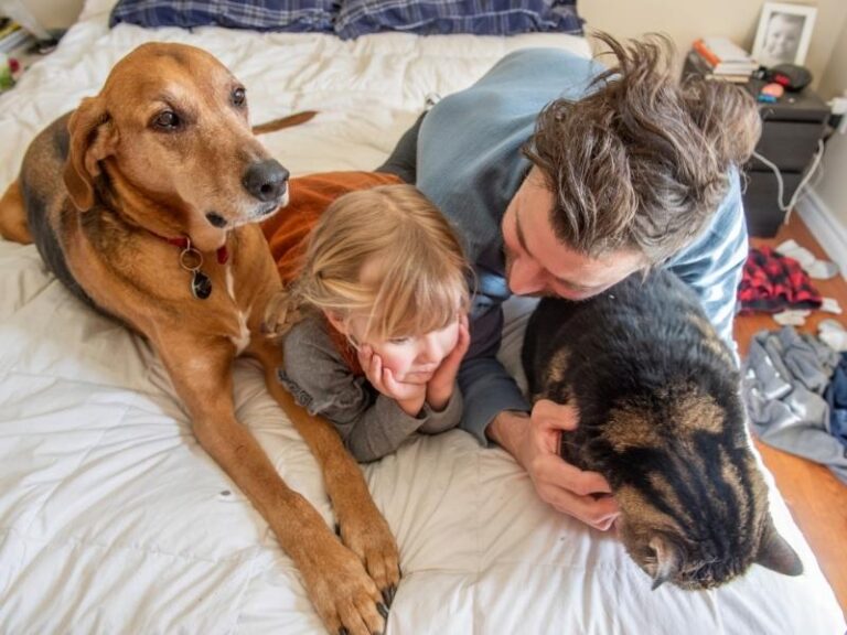 State Emergency Service Protect What You Love