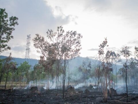 Travelling in a Bush Fire Prone Area | Blue Mountains Bush Fire Resilience
